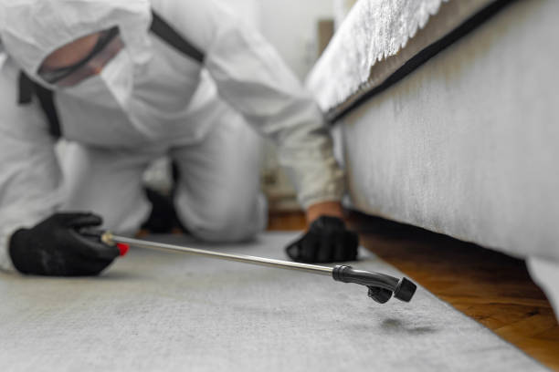 Professional Emergency Pest Control technician working in Lake Dalecarlia, IN