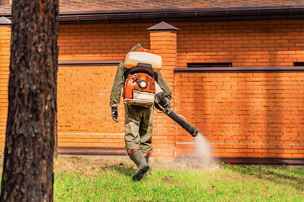Trusted Bed Bug Control service in Lake Dalecarlia, IN - Nex Pest Control